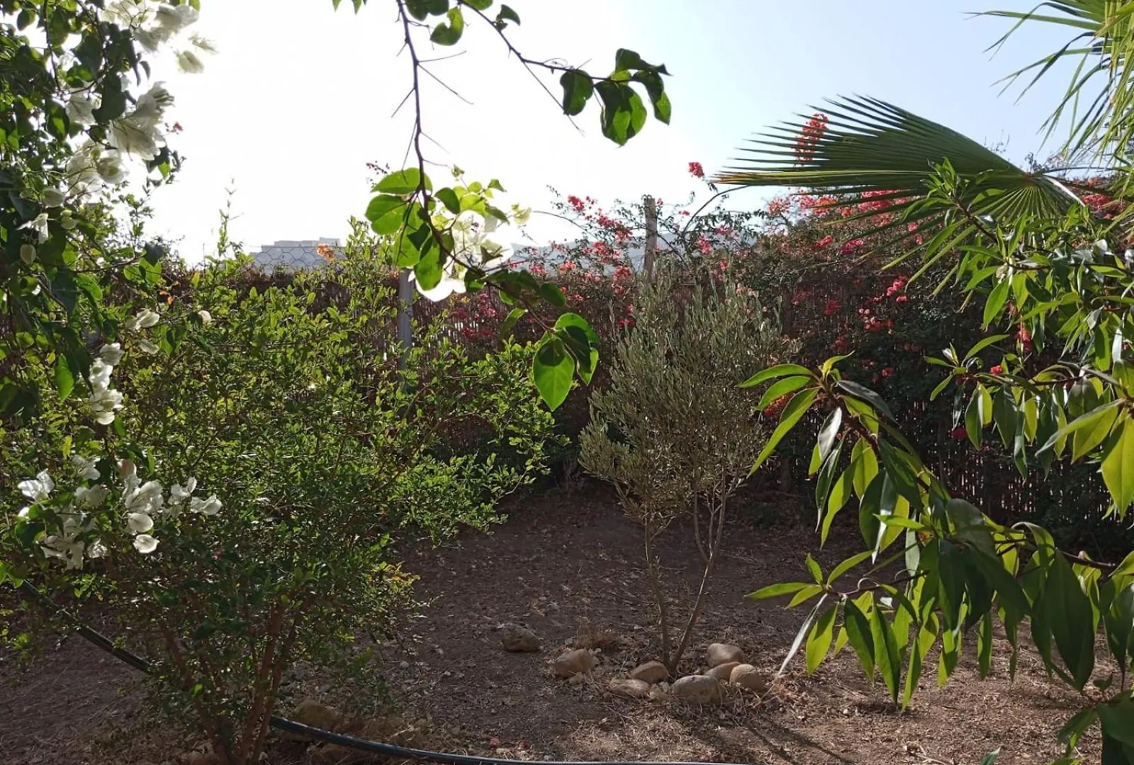 Sea And Sun Villa Immiouadar 1 Agadir Semesterbostad